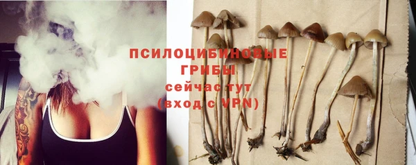 спайс Богородицк