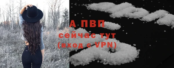 спиды Богданович