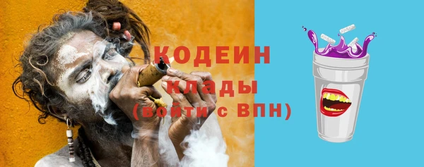 спиды Богданович