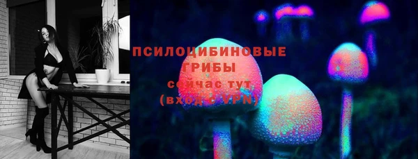спайс Богородицк