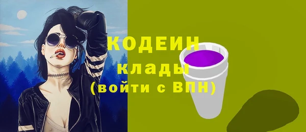 спиды Богданович