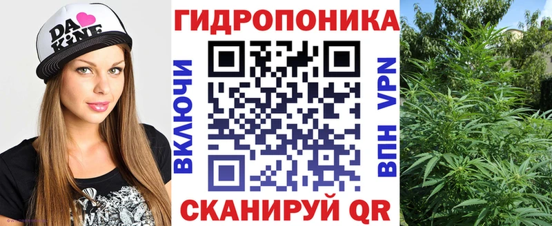 Марихуана сатива  продажа наркотиков  Минеральные Воды 